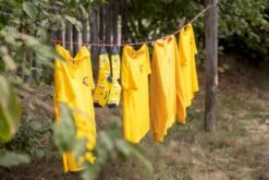 Easy Camp Palmdale 600 Tunneltent - 6 Persoons -Camping Avontuur 1267 1900 waslijn 1