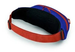Osprey Daylite Heuptas - Blauw/Oranje -Camping Avontuur 1900 1425 daylitewaist s23 sideback silverliningblueberry 10005144
