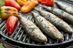 CADAC Grillo Chef 40 Gasbarbecue - BBQ/Chef Pan -Camping Avontuur 900 1348 grillo chef 40 bbq grid