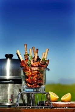 Cobb Premier+ Gas Gasbarbecue - Grijs 21 Cobb Premier+ Gas Gasbarbecue - Grijs -Camping Avontuur cobb premier 3 1