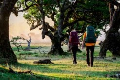 Osprey Renn Backpack - 50 Liter - Paars -Camping Avontuur osprey rennrook 1